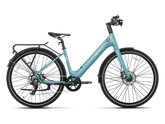 Heybike EC 1-ST Pedelec Electric Cargo Bike